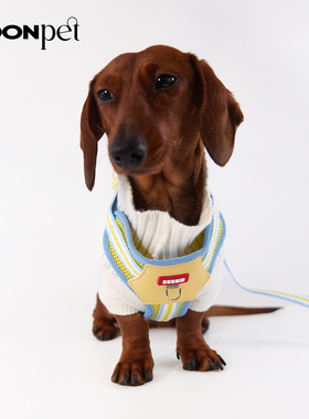 狗狗牵引绳胸背小型犬宠物胸背式牵狗绳胸背带幼犬遛狗绳外出专用