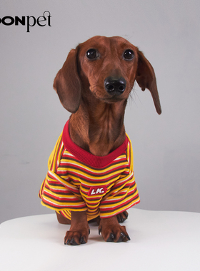 宠物狗狗猫咪条纹衣服时尚T恤夏薄款透气宠物衣服比熊博美衣服