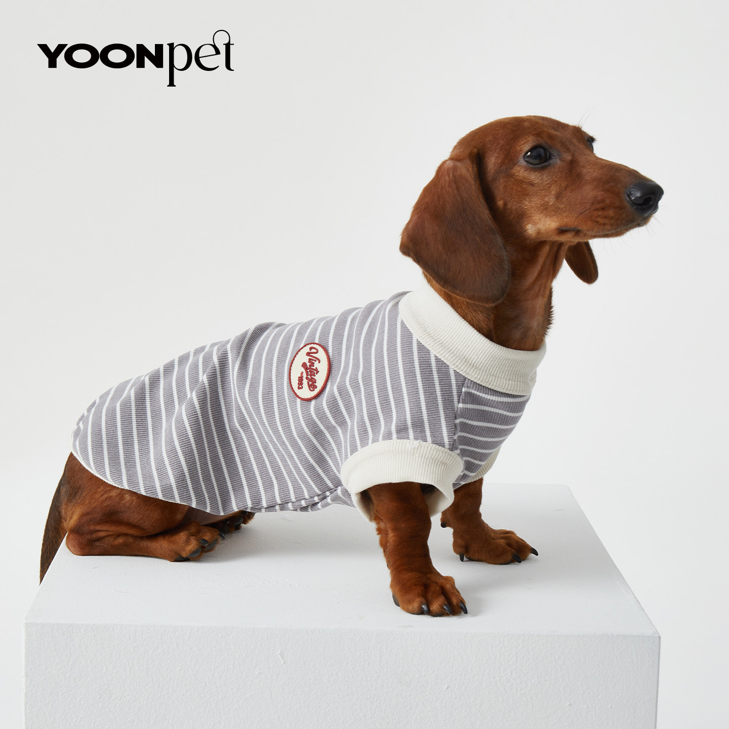 狗狗猫咪宠物衣服春夏季舒适无袖条纹背心腊肠迷你杜宾比熊博美