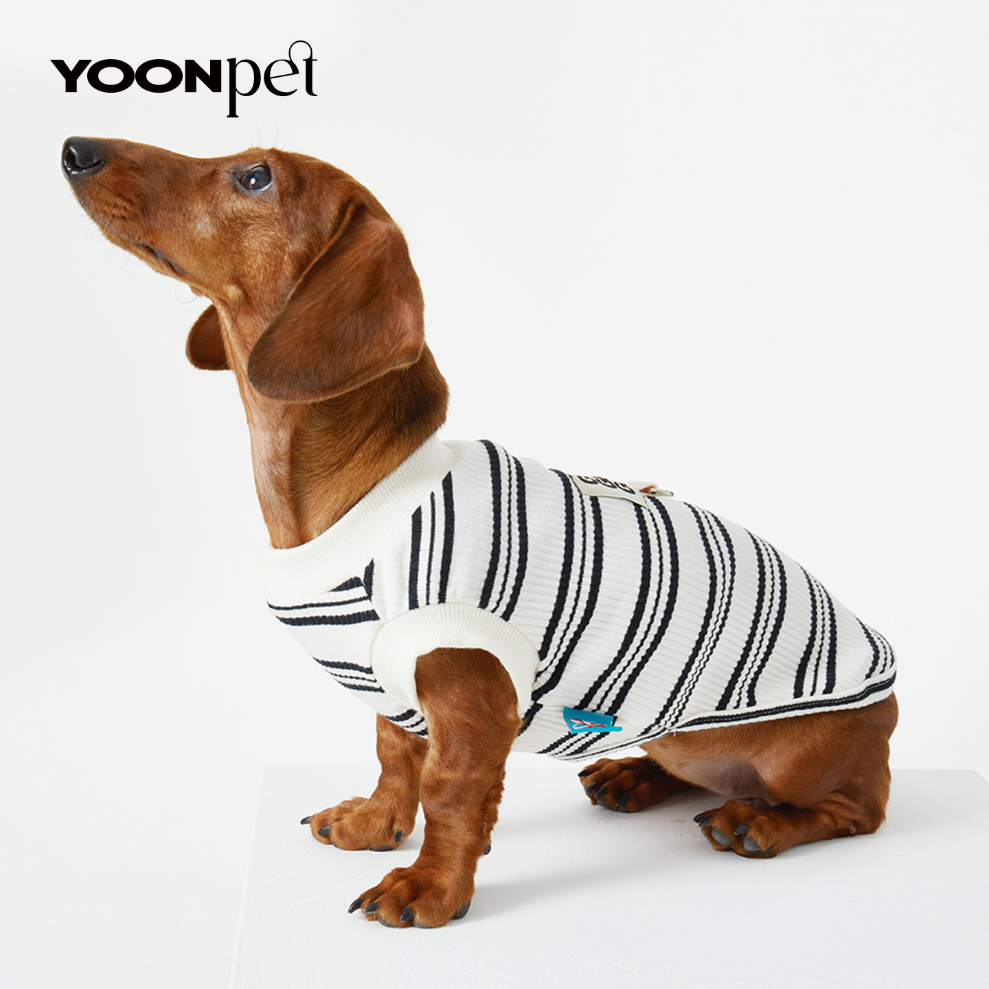 腊肠狗狗猫咪宠物衣服春夏季舒适条纹无袖背心迷你杜宾比熊博美