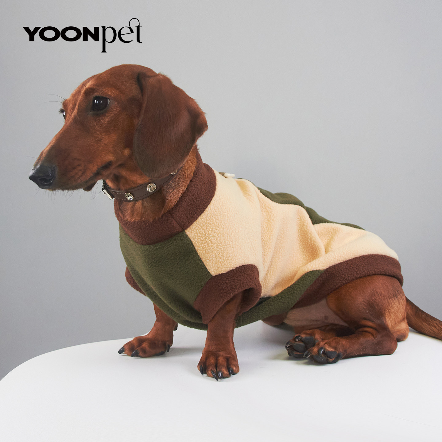 秋冬加绒撞色宠物两脚衣腊肠衣服