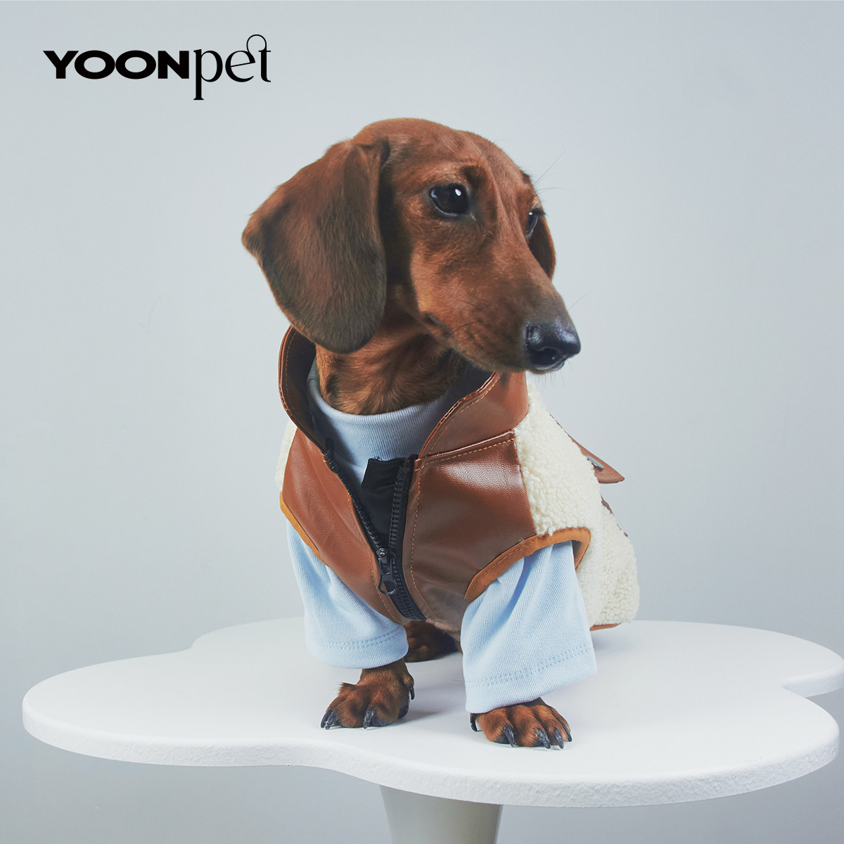 狗狗猫咪宠物保暖绒马甲