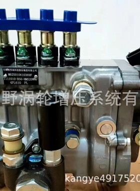 喷油泵1111010-B56 4PL610和4PL612和BHF4PL 1001223985A