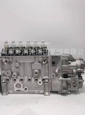 喷油泵106672-3170  106067-7771和65.11101-7269B 101605-9292