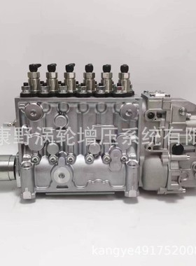 喷油泵106675-466B 106675-466F和65.11101-7245B