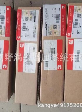 4993482喷油器0445120133和0432191410 3093283和3411763