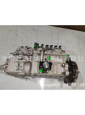 适用日LI的喷油泵101061-8300 101602-7333和101602-7533