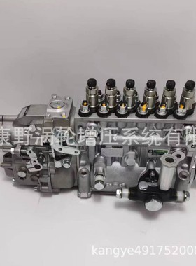 喷油泵106675-4900 400912-00092 65.11101-7356B和106675-410A