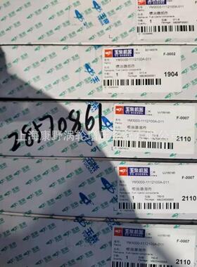 原装喷油器28570861 YM300和TD100-202和KJ100-1112100-202