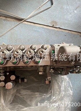 喷油泵13020436 CAW170-9.5右750和1270Z 12002 13035843