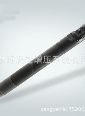 原装德尔福喷油器R00101DP EMBR00101D 1980L3 9M5Q9F593BA