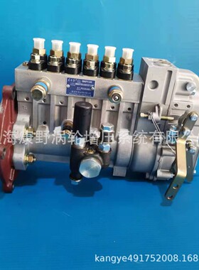 喷油泵6PYD279B BH6PY105和BH6PYD105Y571BF和BH6PYD105Y278BFA