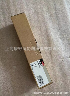 油嘴166001137R 28232251 R05201D和R02101Z=R04101D 166003978R