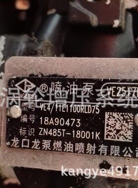 VE喷油泵VE2517B和VE2563和VE2187H和VE2575G和VE2505A和VE2565S