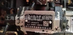 VE噴油泵VE2517B和VE2563和VE2187H和VE2575G和VE2505A和VE2565S