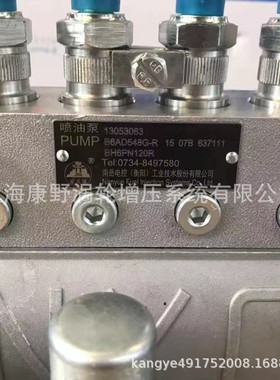 喷油泵 13053063 B6AD548G-R和13068876  B6AD548G8-R和B6PN415A