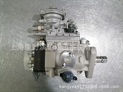 康野喷油泵代用博世质量好