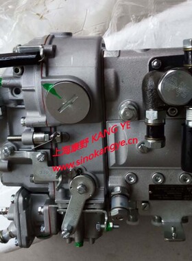 喷油泵D0300-1111050B BH4AD100R0076和B6AD54N-Z 341-1111100A