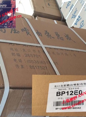 喷油泵12E0和12E8和12E4和12D0和12F8和12D8和11K4 11111010-391