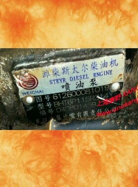 喷油泵612600081019 612600080028和612600081659和612600083352Y