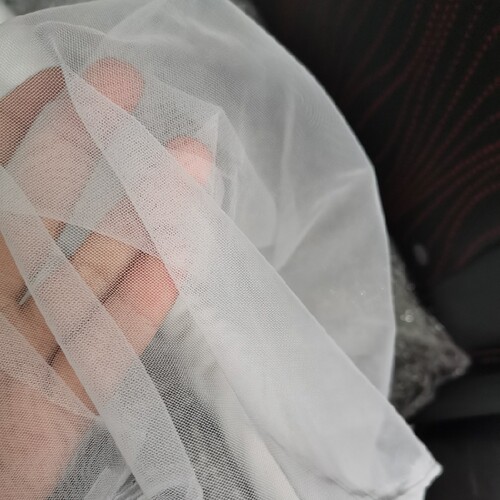 瑞士摄影绣花美国锦纶网纱布料