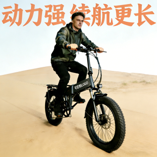 20寸电动助力折叠自行车双驱可拆锂电池成人日常代步轻便通勤越野