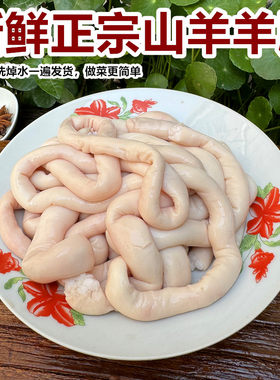 新鲜羊肥肠500g羊大肠