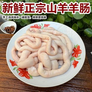 新鲜羊肥肠 500g 羊大肠 山羊羊下货 羊杂 生羊杂 另外有羊小肠