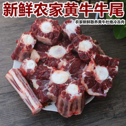 牛尾巴农家新鲜牛尾骨5斤装黄牛