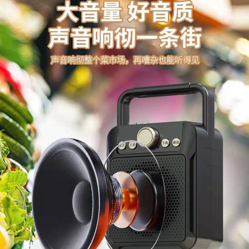 手提音箱家用广场舞便携话筒带收音机无线蓝牙户外音响低音炮