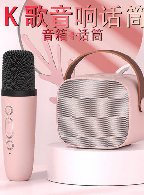 K歌音响 户外便携迷你蓝牙音箱电视K歌麦克风话筒other/其他 其他