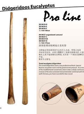 德瑞Terre演奏级调音迪吉里杜管Didgeridoo进口澳洲乐器桉木包邮