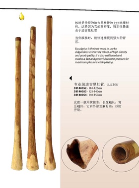 德瑞Terre专业级迪吉里杜管Didgeridoo进口澳洲乐器桉木包邮