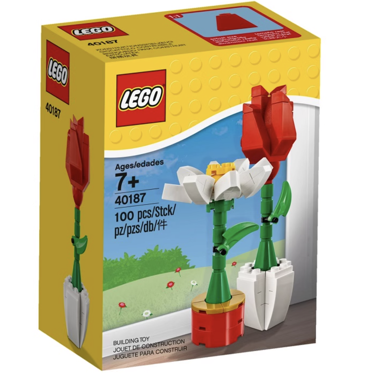 LEGO 乐高 花朵和植物 40187 创意花卉花朵 桌面摆件情侣礼物