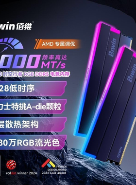 RGB炫彩佰维DW1006000频率32G(16X2)C28内存条时空行者AMD平台A代