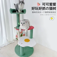 Маленькая кошка захватывает кошачье гнездо кошачье дерево