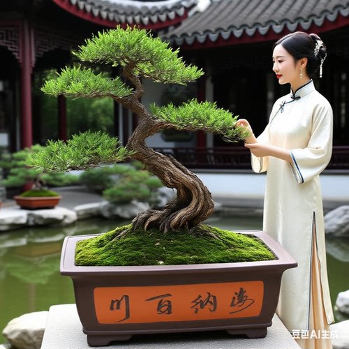 大号紫砂盆陶瓷长方形松树桩盆景