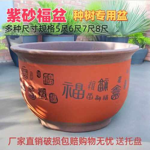 特大号庭院种树中式陶瓷花盆盆景