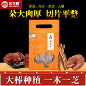 仙芝楼赤灵芝片有机灵芝切片武夷山灵芝片煲汤炖汤泡茶饮品正品