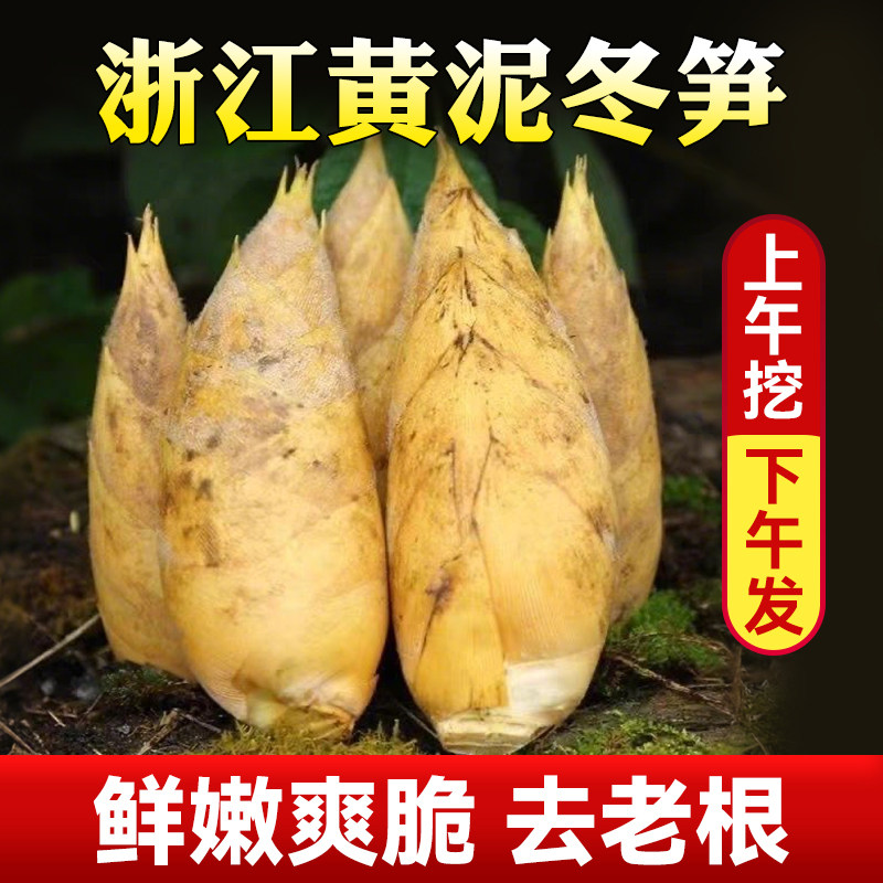 浙江冬笋新鲜现挖鲜竹笋正宗野生春笋临安衢州东笋商用去老根当季