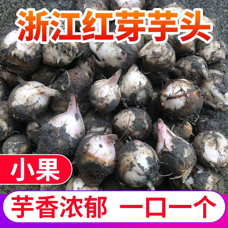 浙江红芽芋头小芋头牛奶芋艿软糯香粉2024新鲜蔬菜现挖香芋毛芋头,水产肉类/新鲜蔬果/熟食,芋头,淘宝优惠券,粉丝福利购,淘宝优惠卷