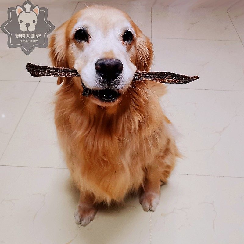 宠物大咖秀狗狗零食低脂营养手工无添加肉条肉干原切长条牛肉棒
