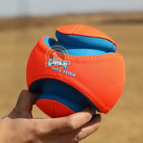 狗狗足球玩具互动浮水