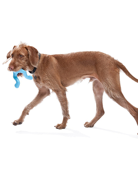 美国Westpaw西爪宠物橡胶漏食巡回互动磨牙耐咬进口浮水狗狗玩具