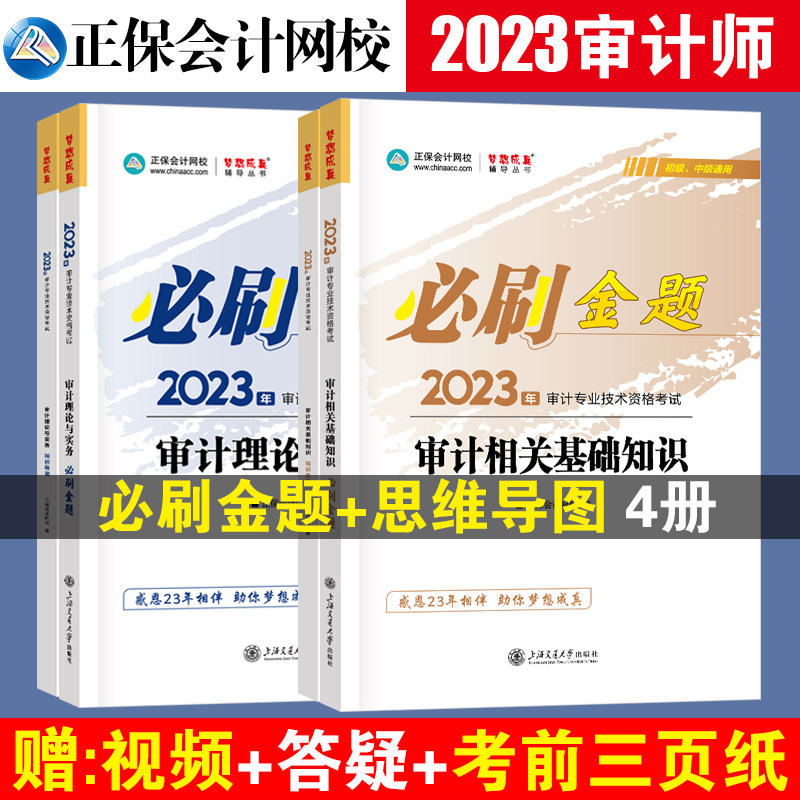 新版2023审计师初级审计师中级审计师通用考试教材辅导书必刷金题审计理论与实务审计相关基础知识 2册正保会计网校梦想成真_虎窝淘