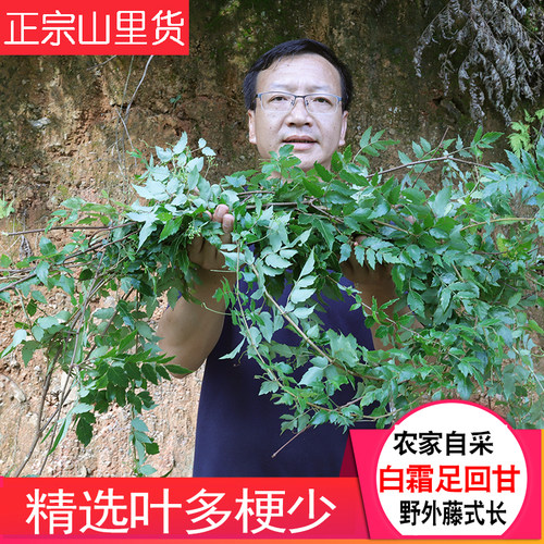 藤茶藤婆茶农家晒干无硫深山药材