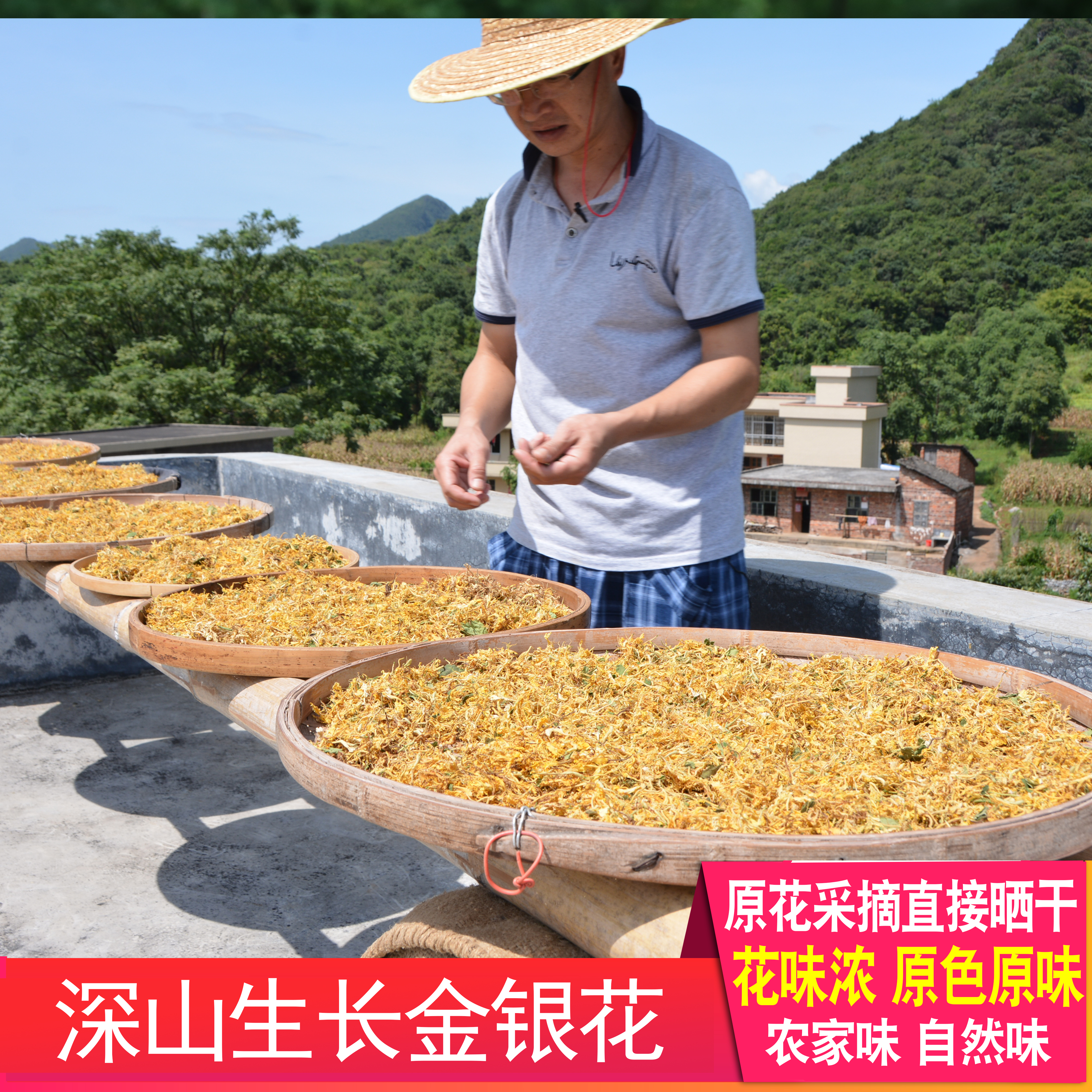 金银花深山无硫农家晒带绒毛凉茶