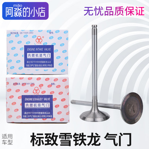 标志雪铁龙系列发动机进排气门