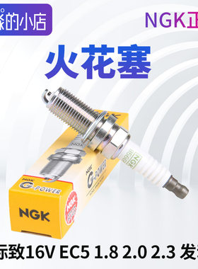 NGK正品856GP16VEC5火花塞
