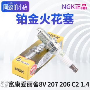 NGK铂金火花塞东风雪铁龙富康爱丽舍8V标致207标志206 1.4排量